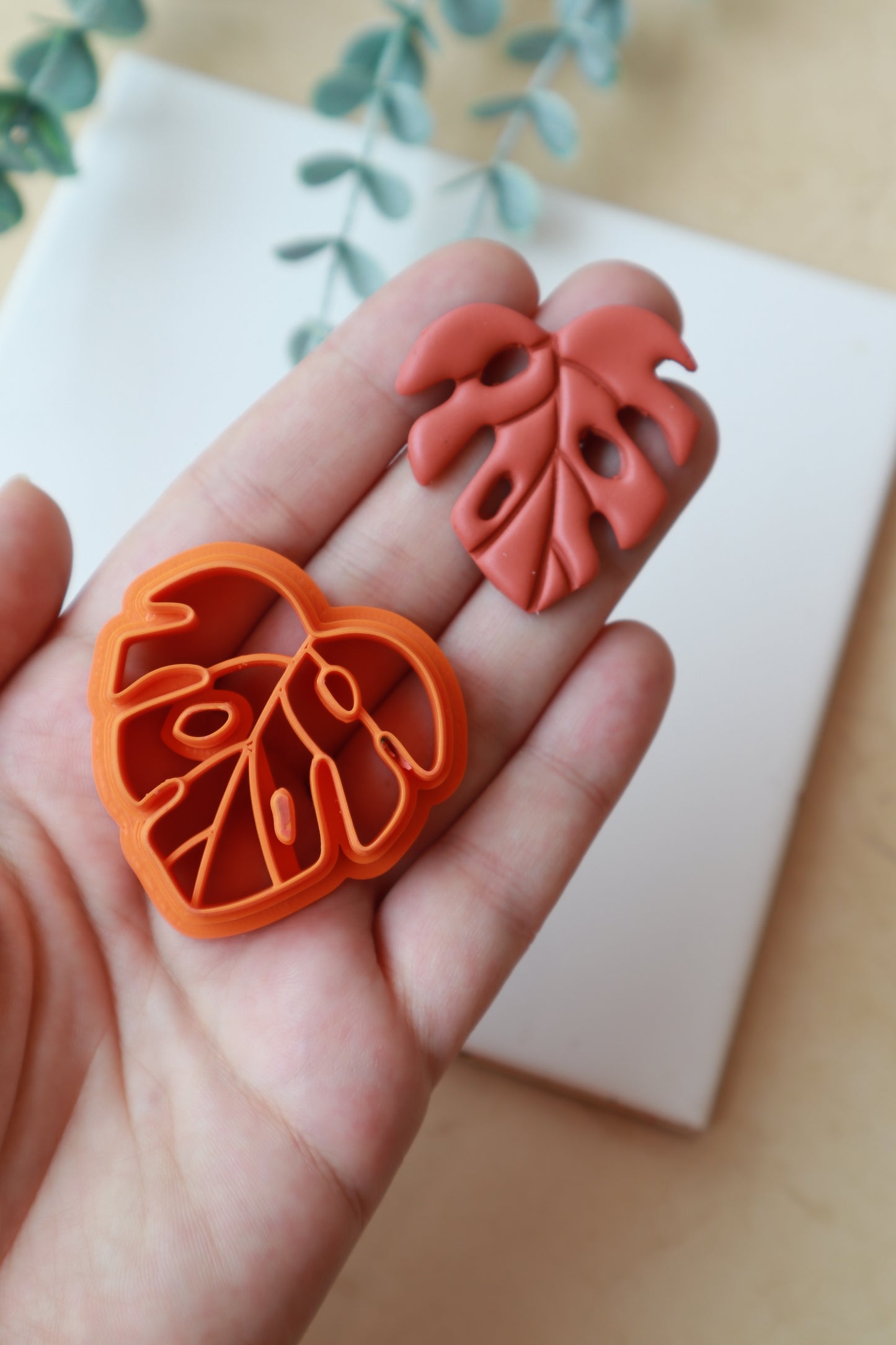 Monstera 2025 - modlica za glinu