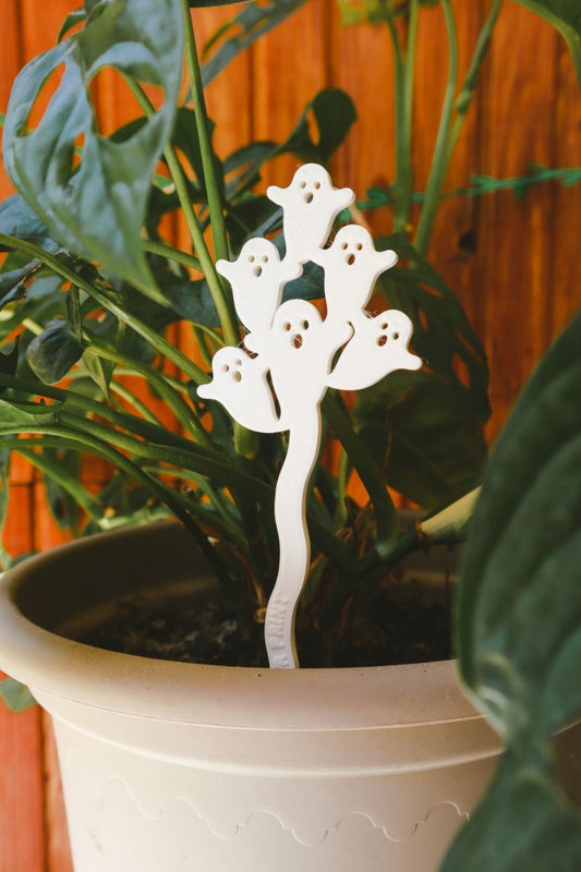 Duhovi - ukras za cvijeće