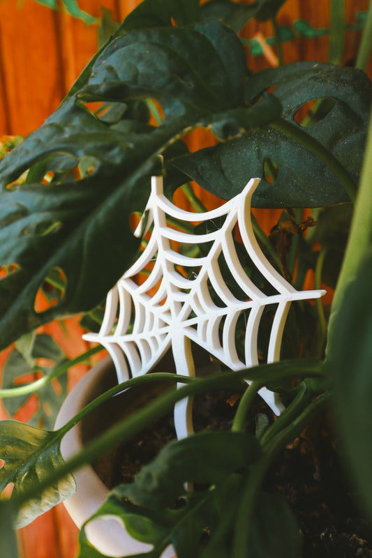 Paukova mreža - ukras za cvijeće
